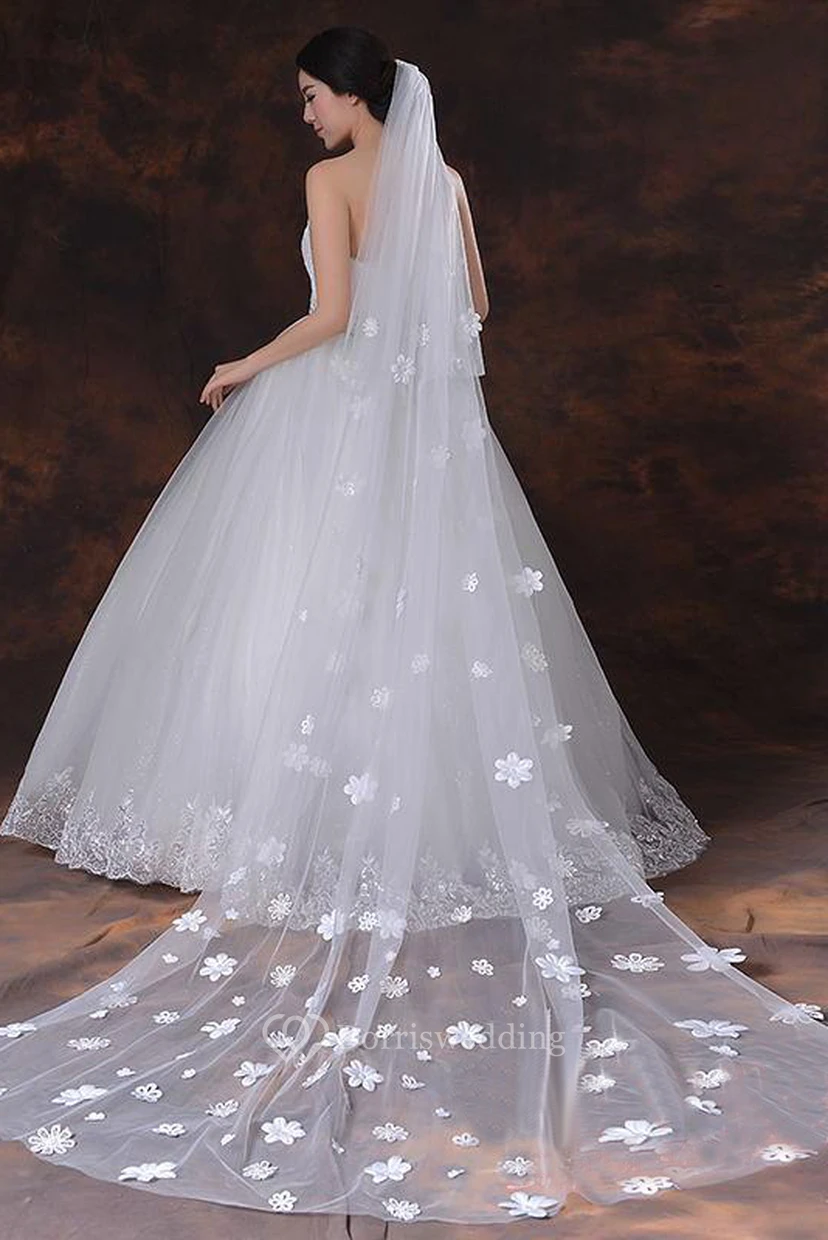 Latest Ethereal Style Cathedral Wedding Veil with Flower Appliques