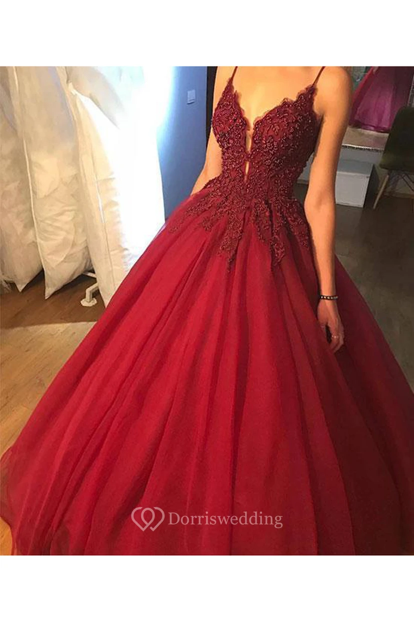 Ball Gown Organza Lace Spaghetti Sleeveless Zipper Dress
