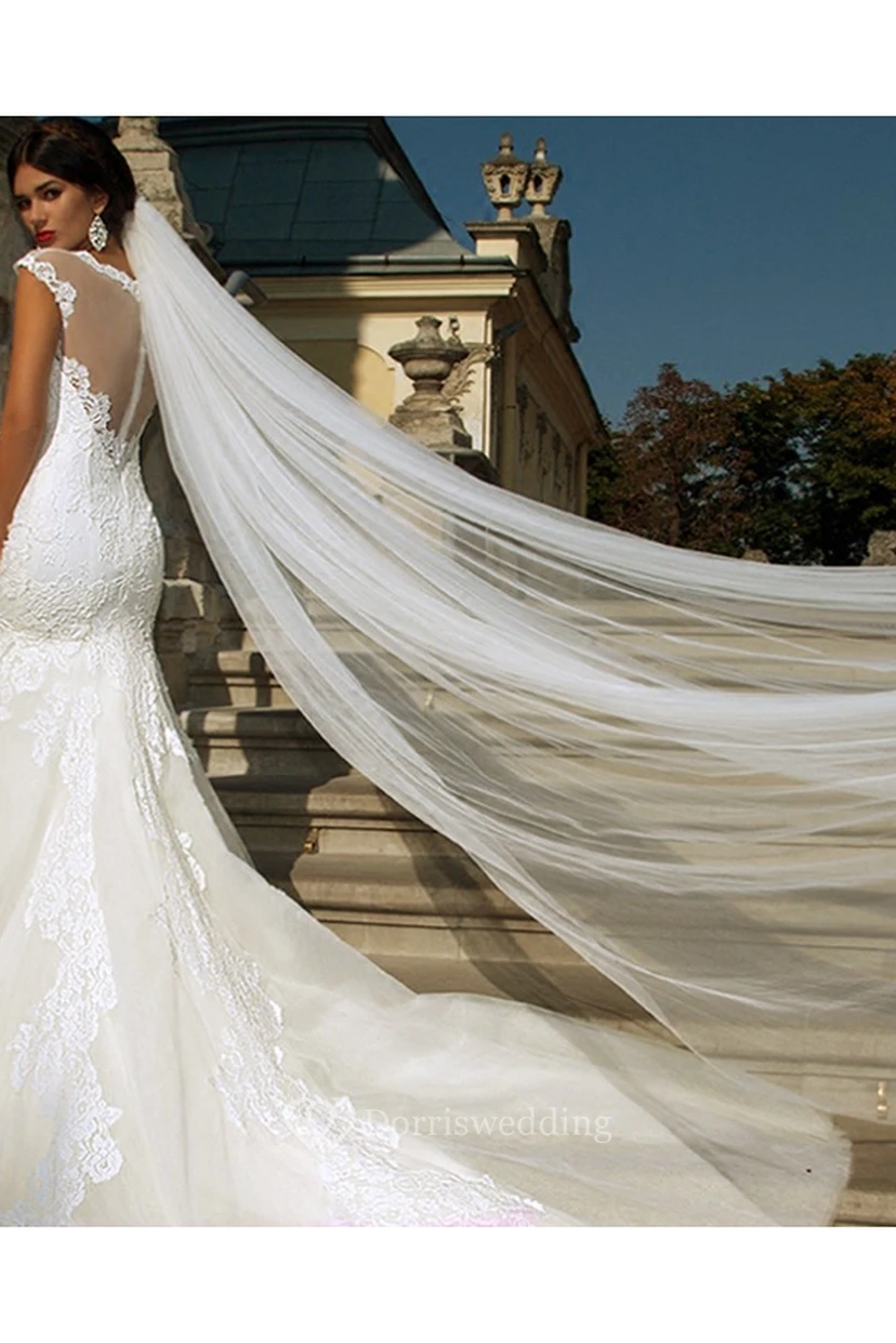 Super Soft Long Tail Simple Bridal Veil view 2