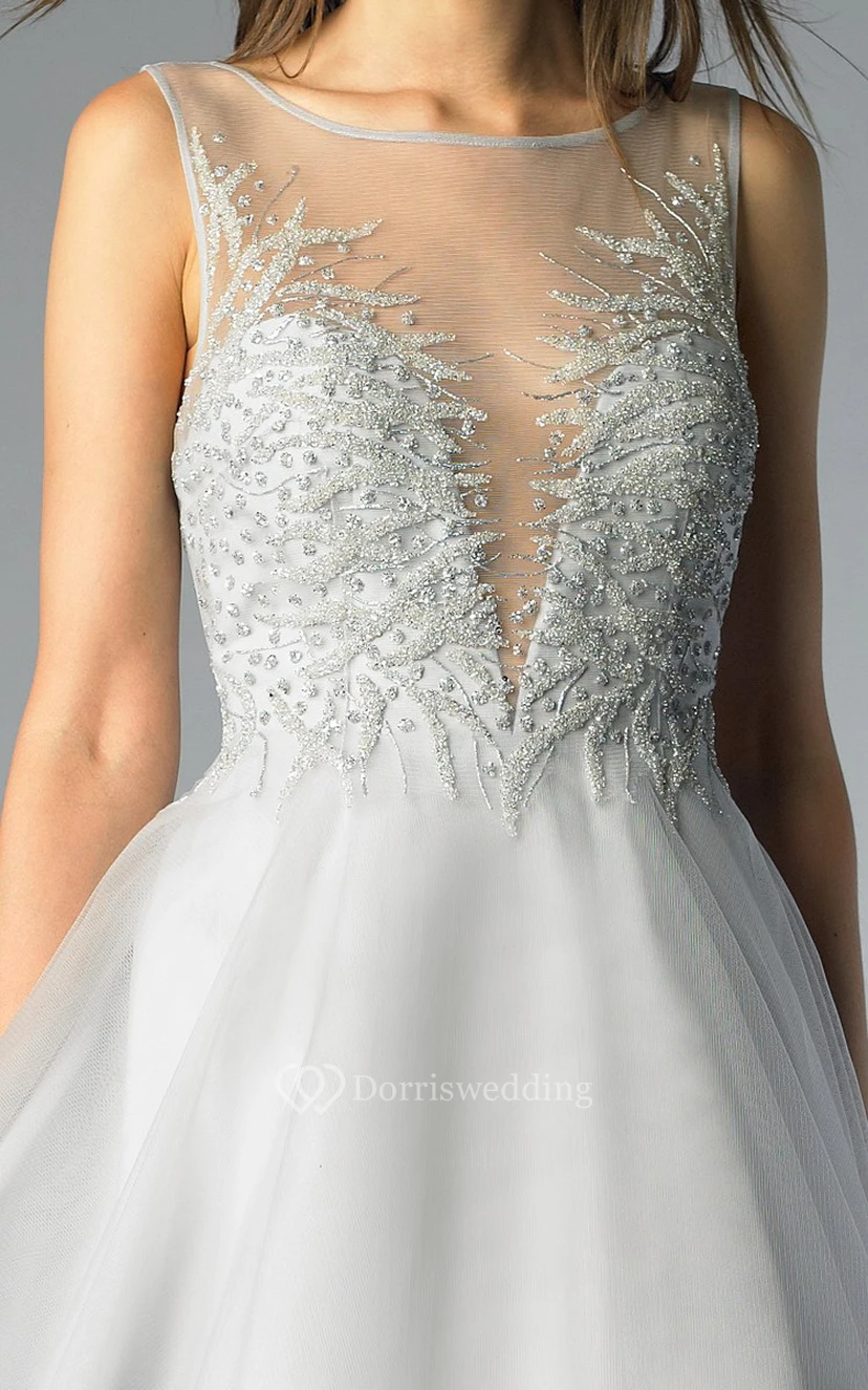 A-line Floor-length Bateau Sleeveless Tulle Low-V Back Dress view 5