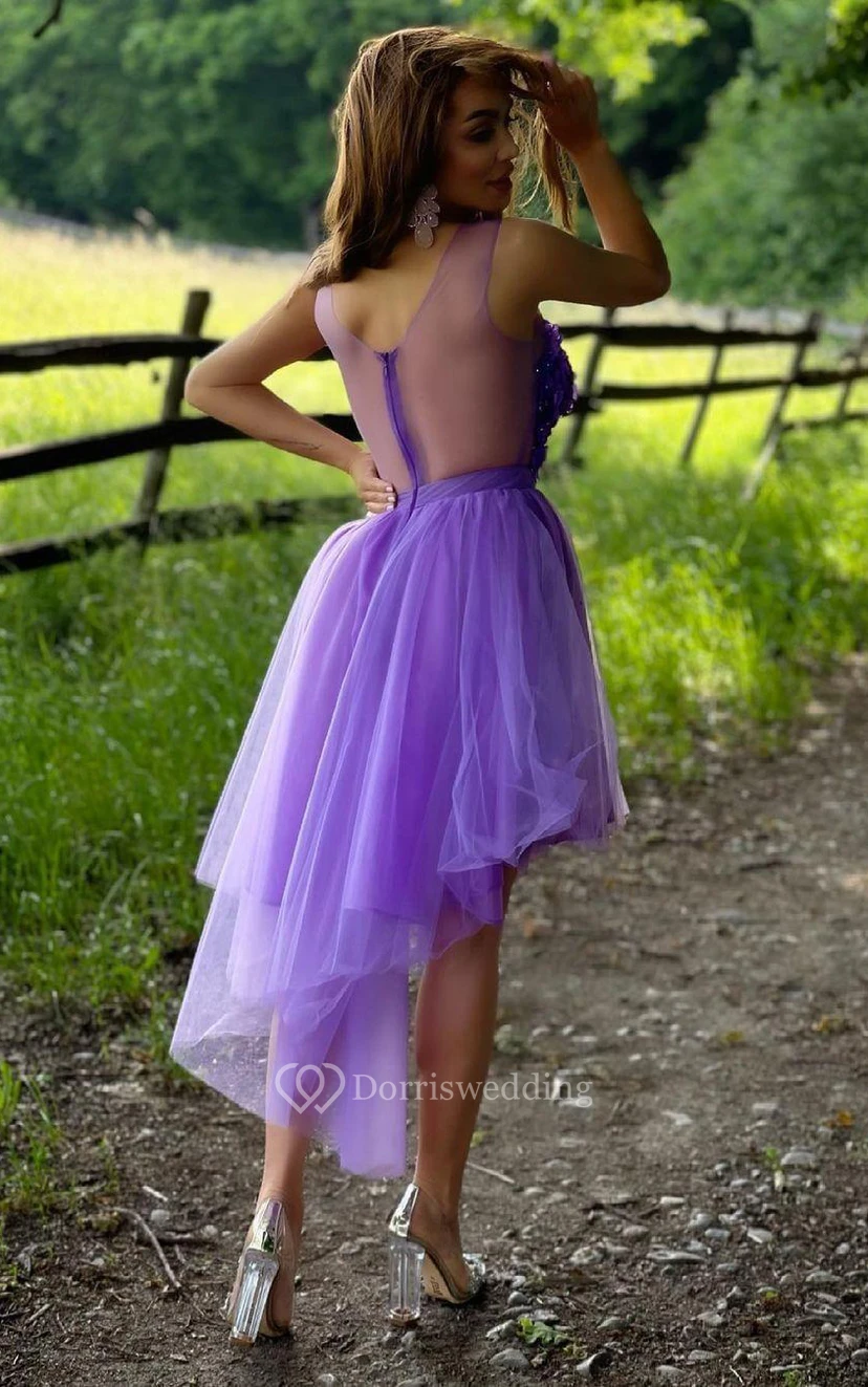 Tulle A Line Zipper Illusion Sleeveless with Appliques and Beading Homecoming Dress view 2