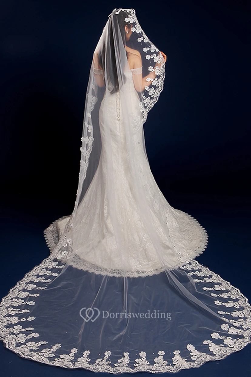 Long Tail Wedding Veil with Flowers Beading and Lace Edge view 2