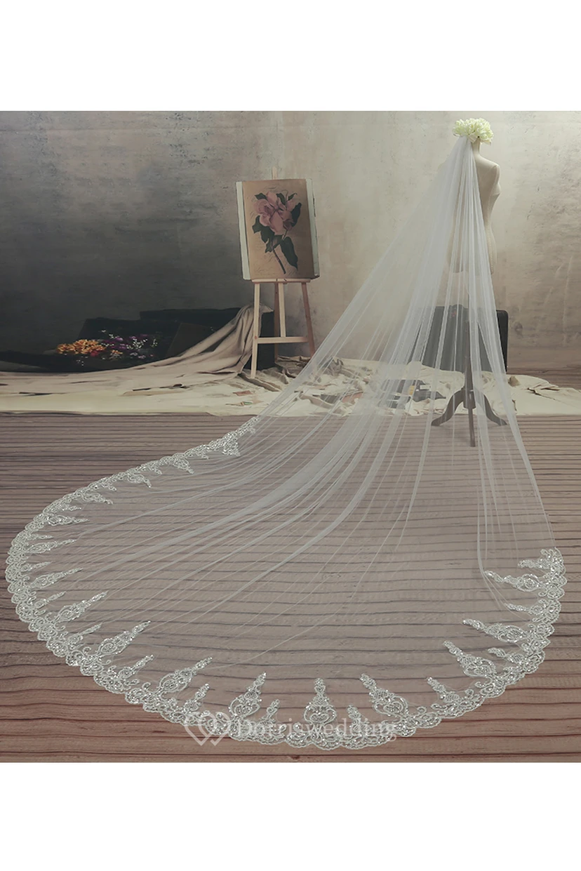 Ethereal Style Cathedral Tulle Wedding Veil with Lace Edge view 2