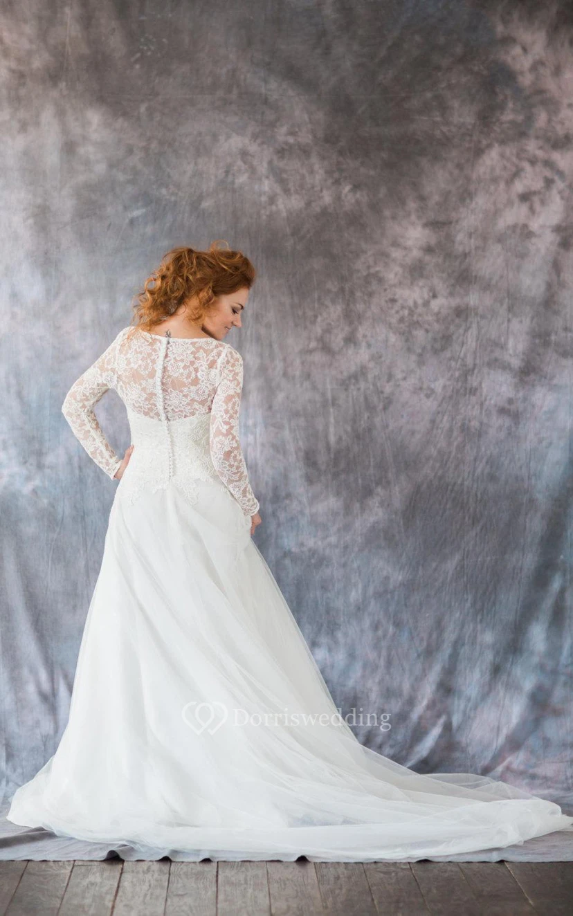 Long Sleeve Lace and Organza A-Line Dress With Bateau Neckline view 5