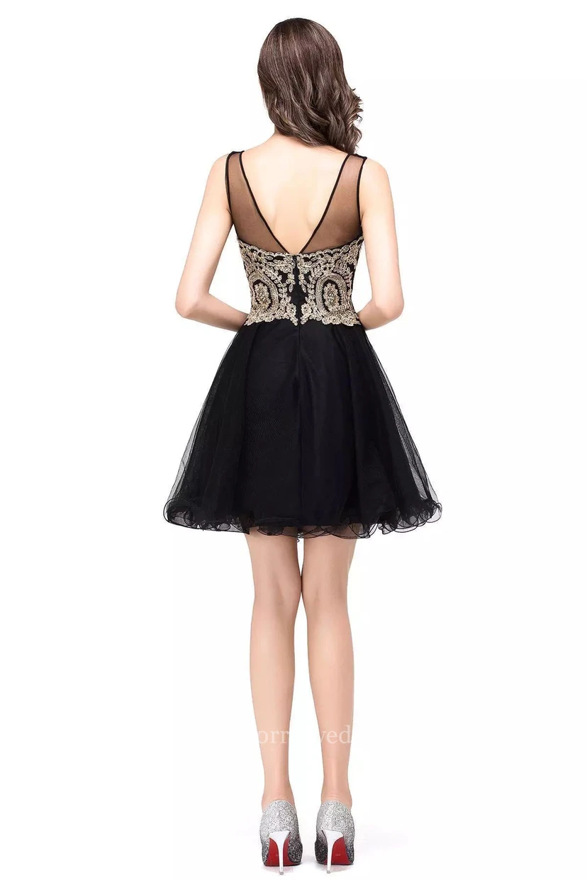 A-line Sleeveless Lace Tulle Bateau Zipper Low-V Back Short Mini Homecoming Dress view 2