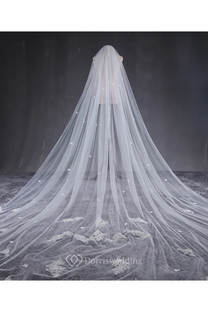 Cathedral Wedding Veil with Lace Edge and Flower Applique view 2
