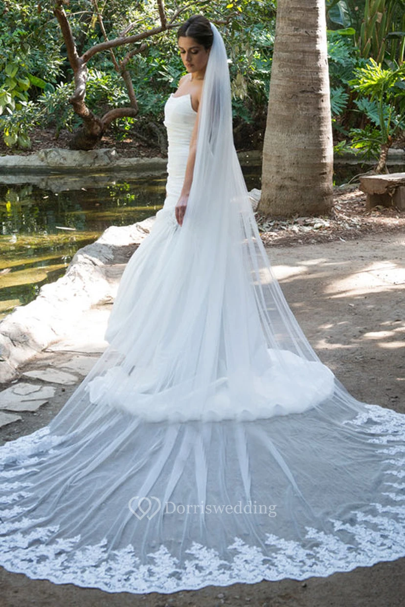 Single Layer Wedding Veil With Long Tail and Lace Edge view 2