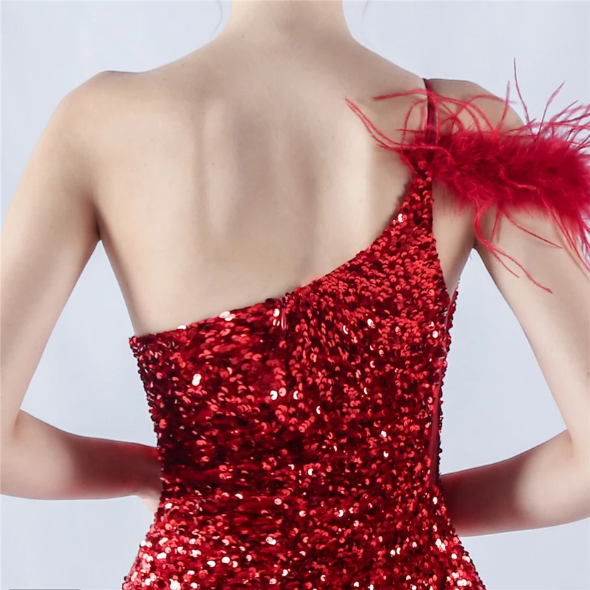 Gradient Velvet Bottom Sequins Craft Beading Ostrich Hair One-Shoulder Oblique Collar High-Slit Evening Dress view 45