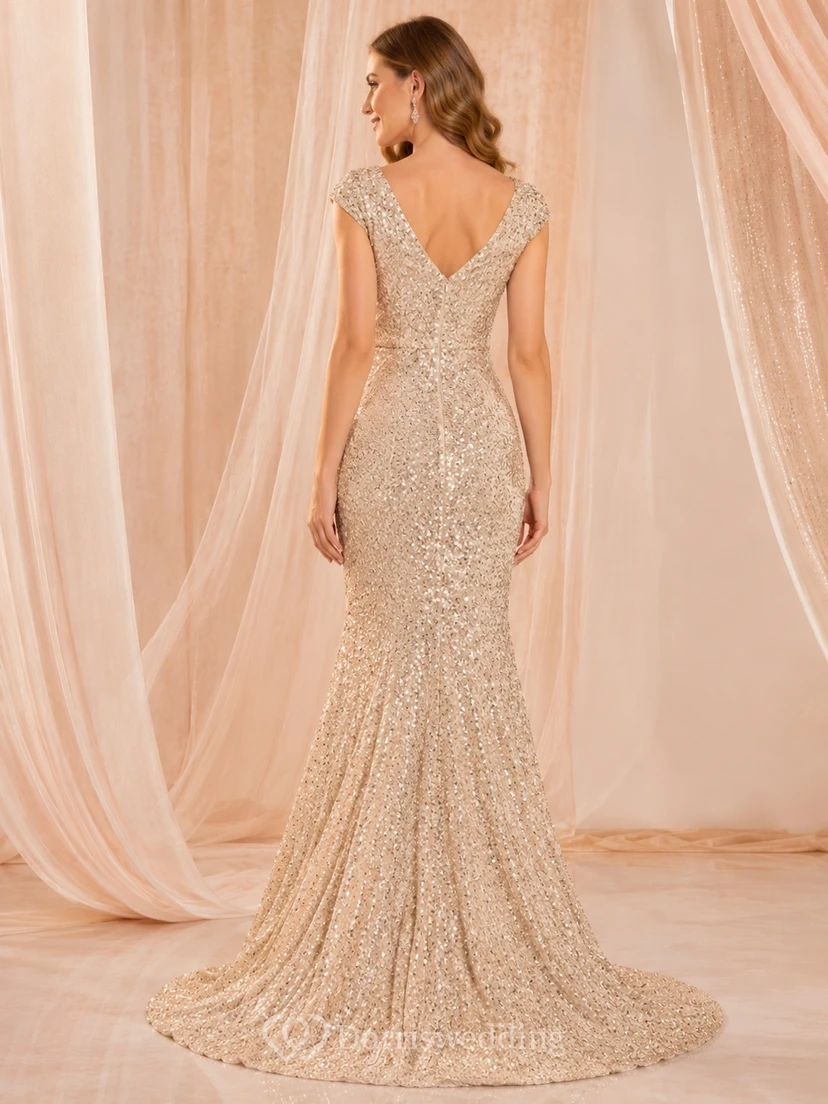 Champagne Lace V-neck Long Sleeve Mermaid Sweep Train Evening Gown view 2