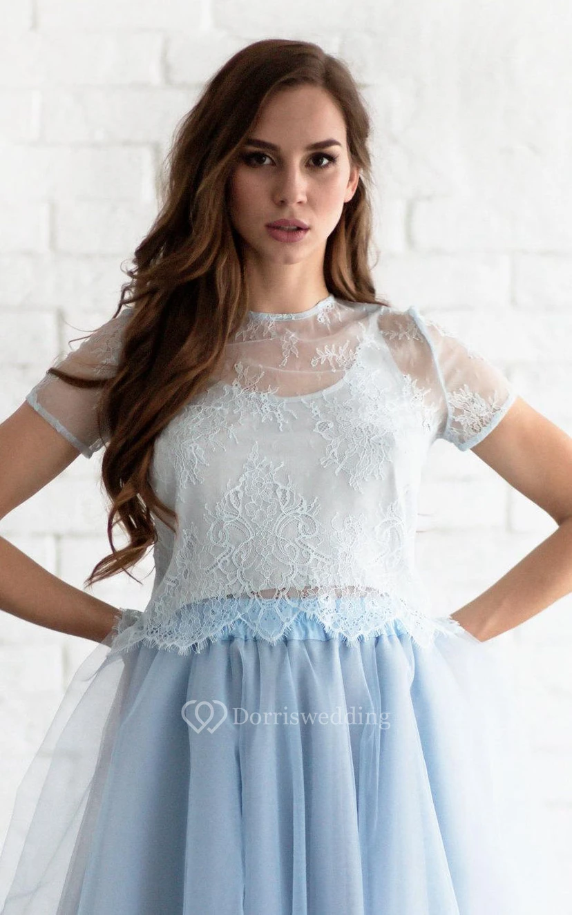 Jewel Neck Short Sleeve A-line Pleated Tulle Knee Length Dress Lace Top view 3