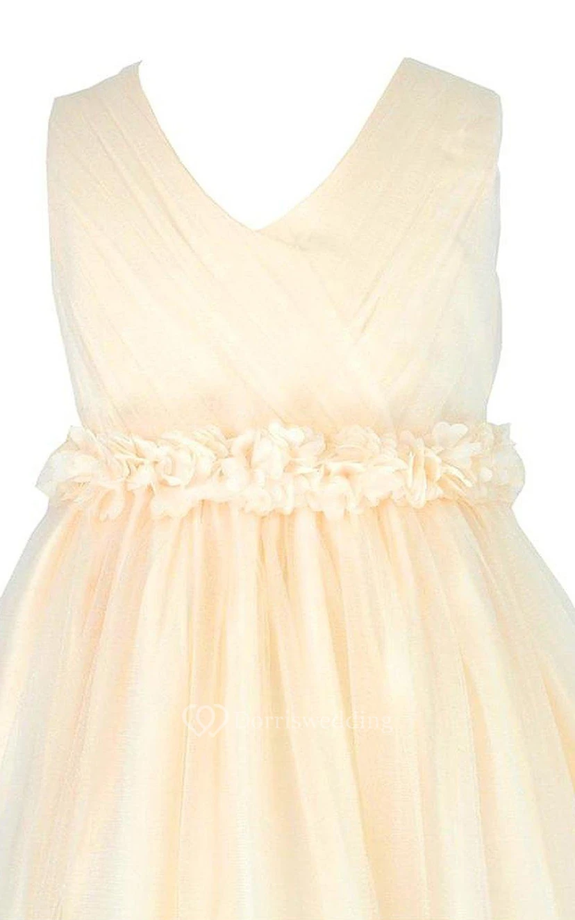 Sleeveless V-neck A-line Pleated Dress With Bow view 4