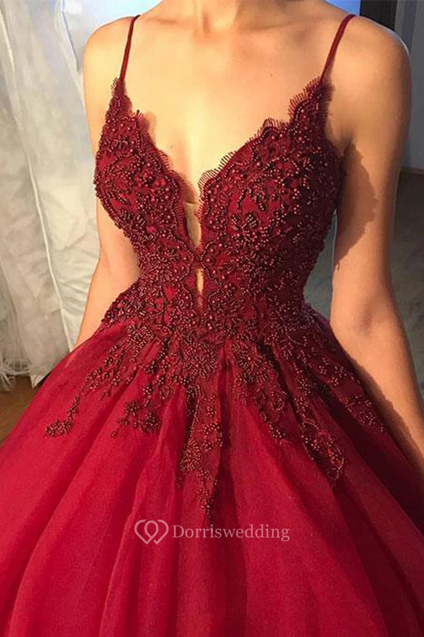 Ball Gown Organza Lace Spaghetti Sleeveless Zipper Dress view 2