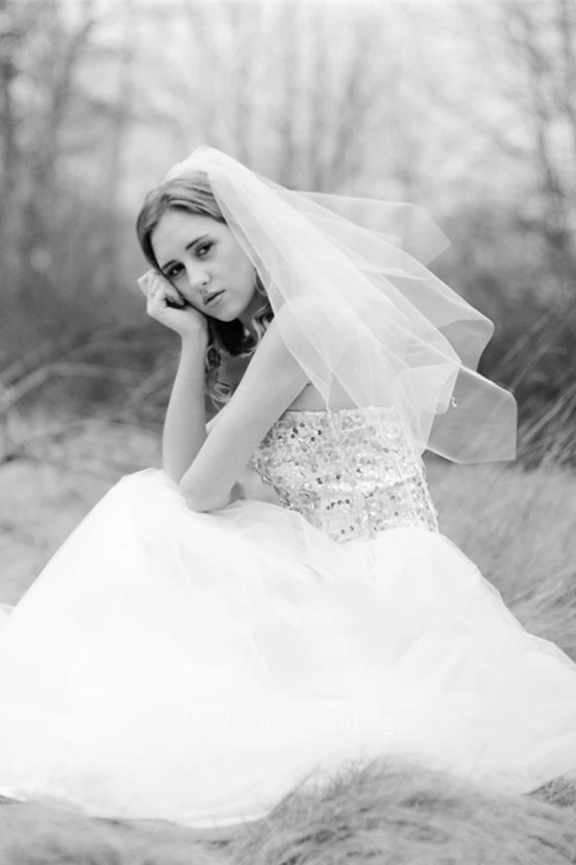 Double-layer Tulle Bride Wedding Veil view 2