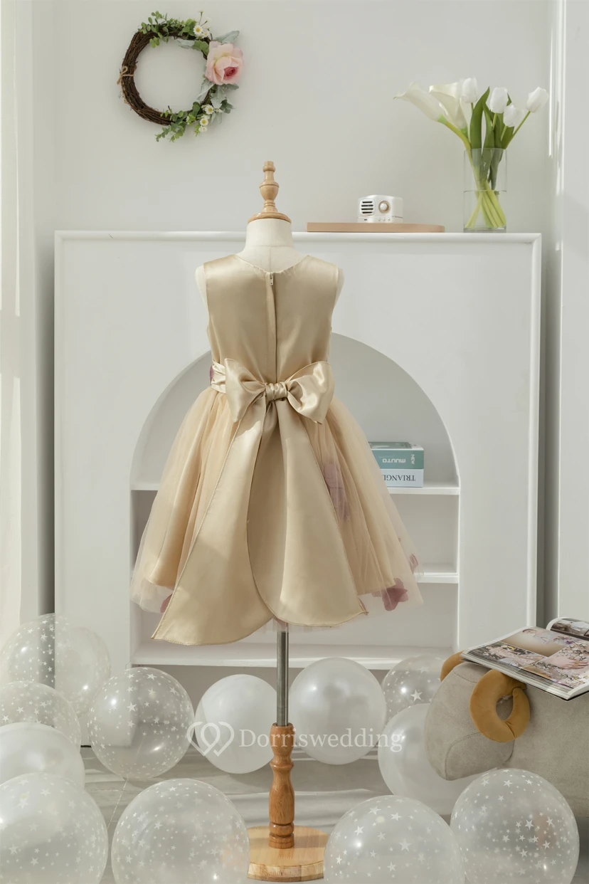 Two-Tone Satin A-line Short Tulle Floral Flowergirl Dress with Petals view 2