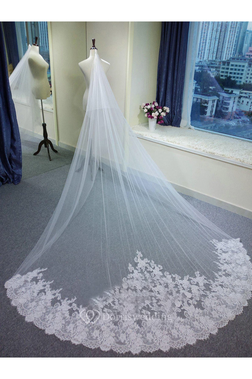 Romantic Tulle Long Wedding Veil with Lace Edge view 3