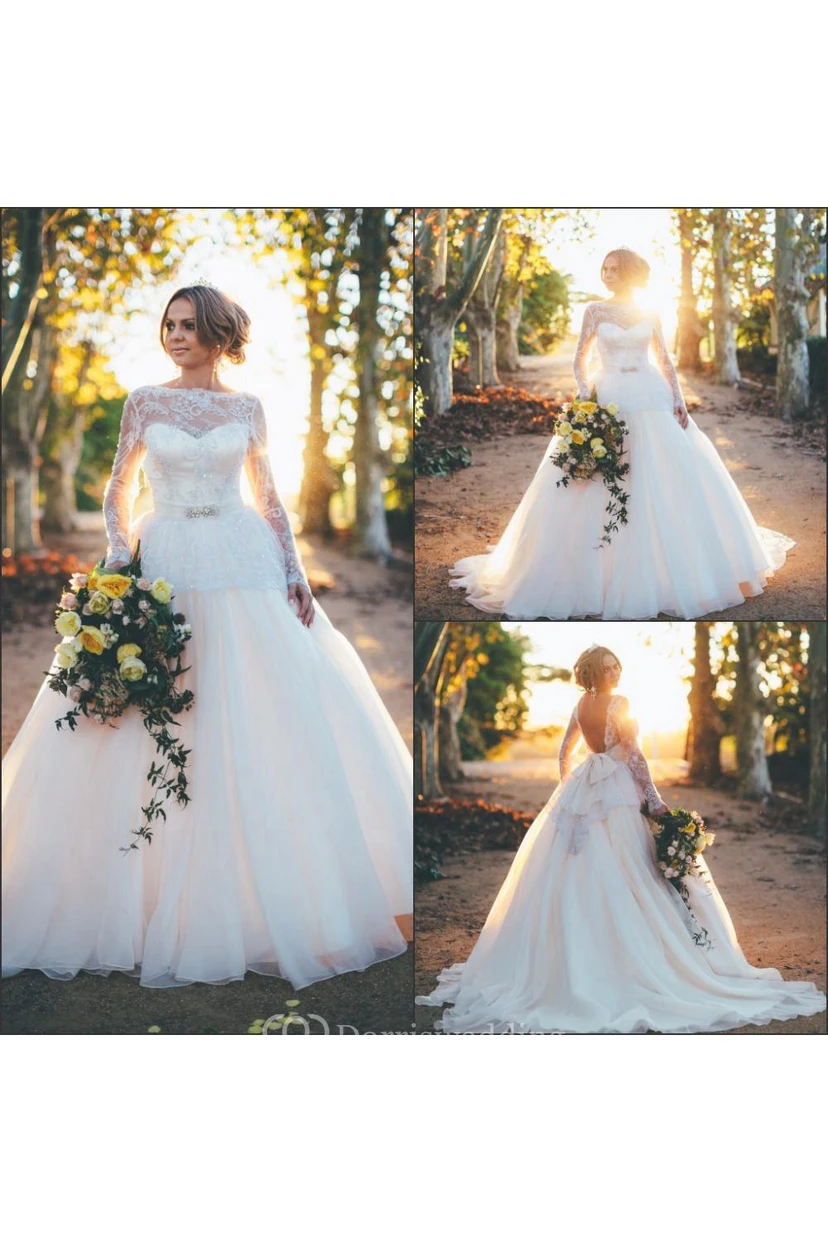 Gorgeous Long Sleeve Lace Wedding Dresses Princess Open Back view 3