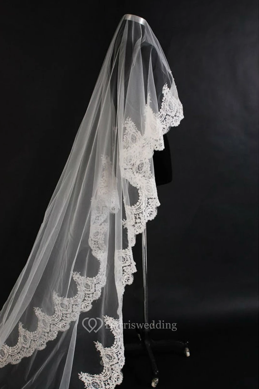 Long Soft Tulle Bridal Veil with Lace Appliques view 2