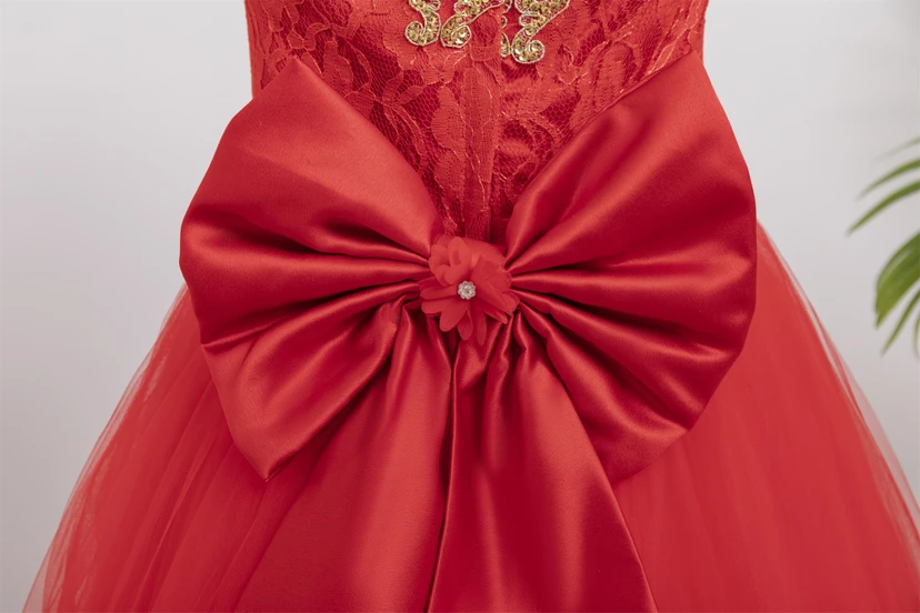 Cap Red Ball Gown Applique Flowergirl Dress with Pop up Petal view 7