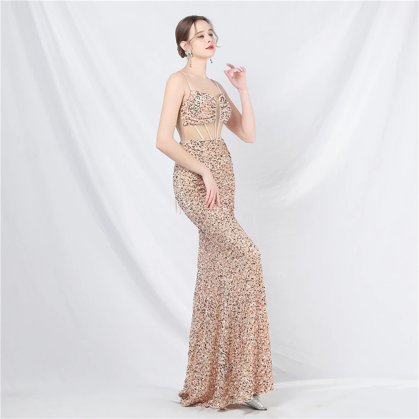 Palace Style Heavy Fishbone Waist Mesh Sequined High-End Evening Dress view 35
