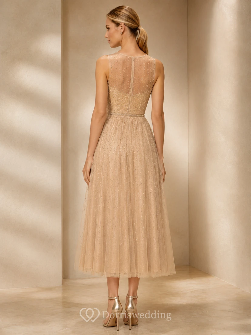 Champagne Illusion Mesh Overlay Midi Occasion Dress view 2