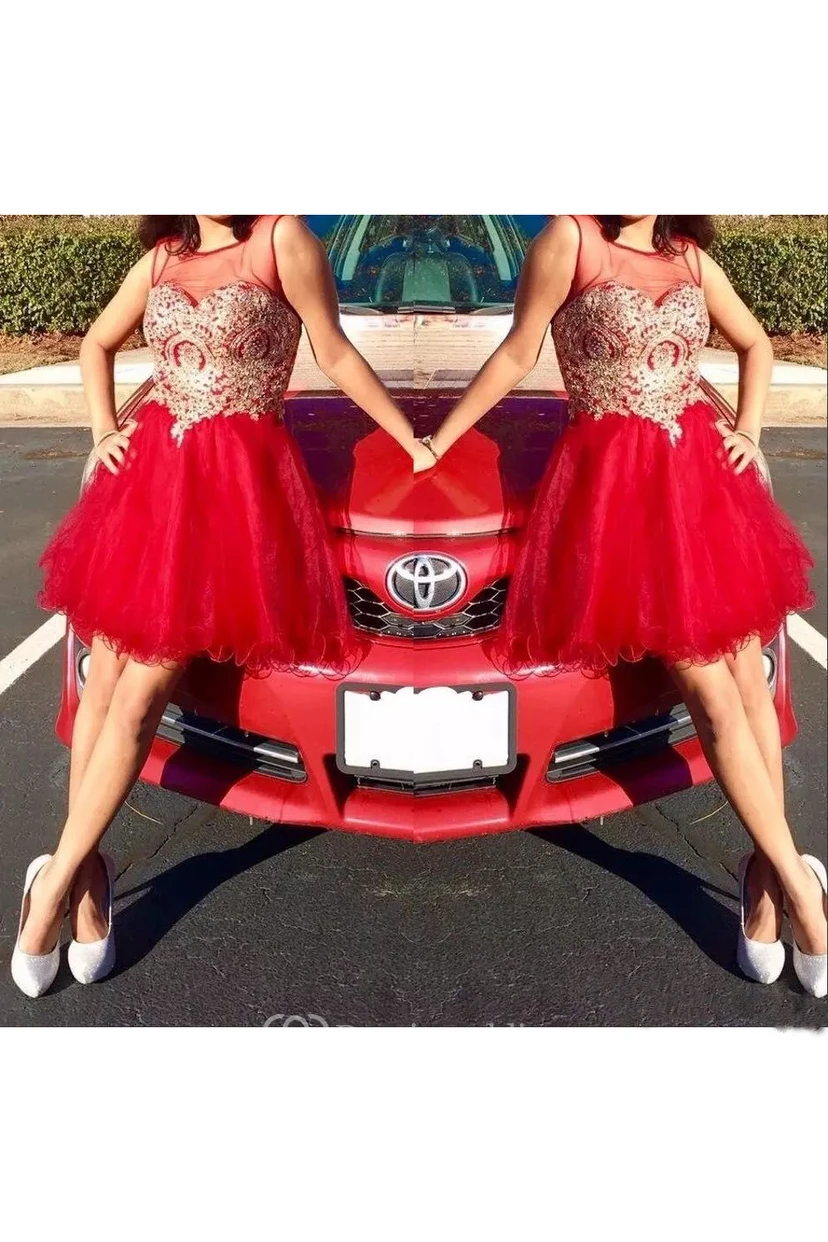 A-line Sleeveless Lace Tulle Bateau Zipper Low-V Back Short Mini Homecoming Dress view 3