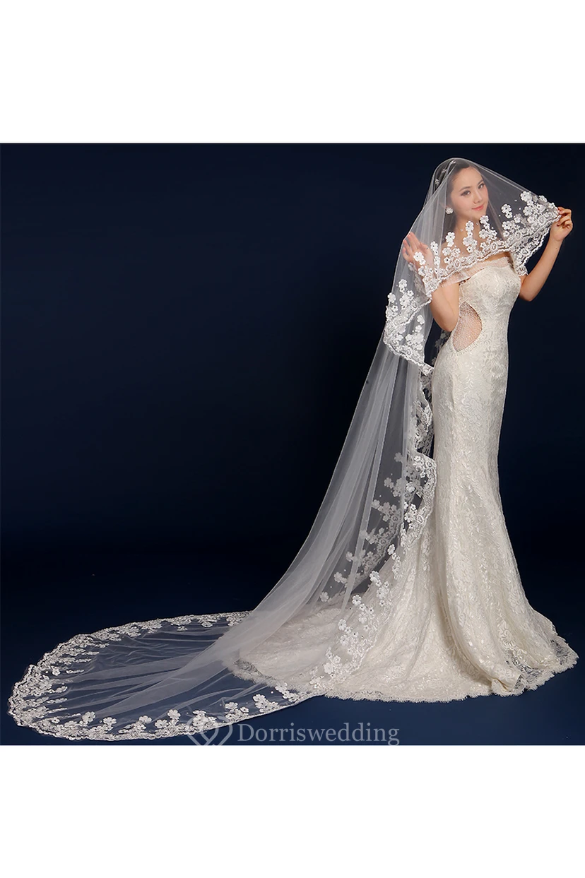 Long Tail Wedding Veil with Flowers Beading and Lace Edge