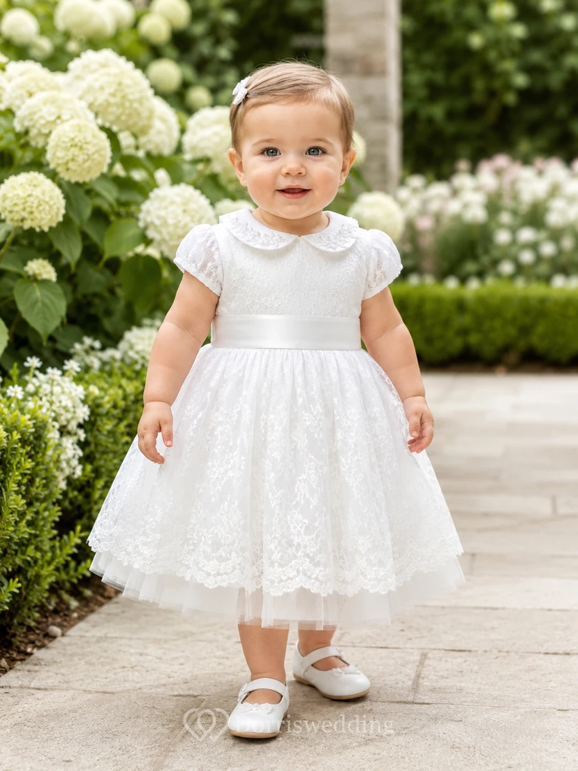 Collared Baptism Dress A-Line Cotton Lace Short Sleeve Knee-Length Scalloped Hem