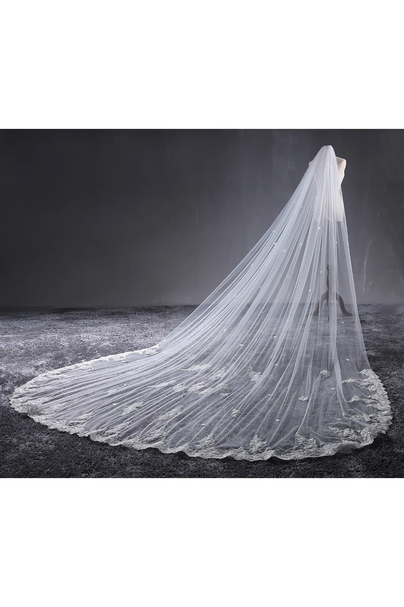 Cathedral Wedding Veil with Lace Edge and Flower Applique