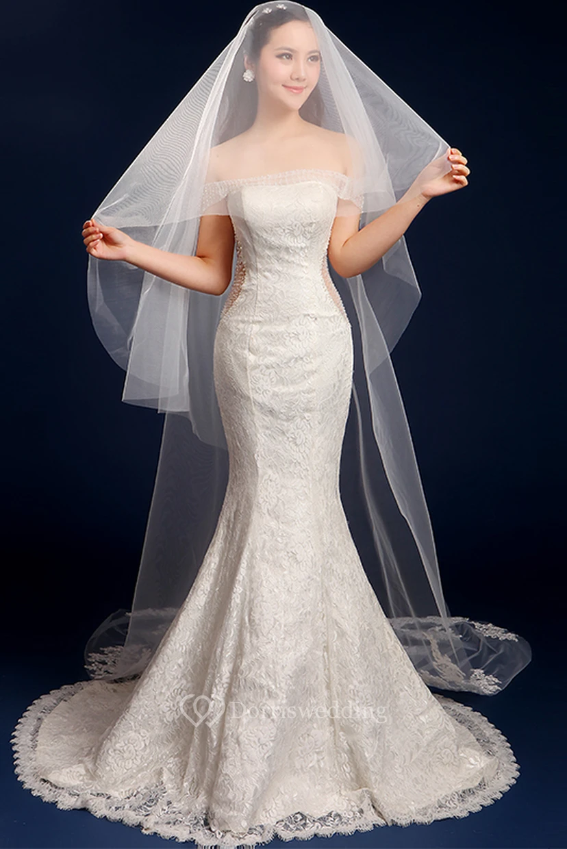 Tulle Cathedral Wedding Veil with Lace Edge and Appliques