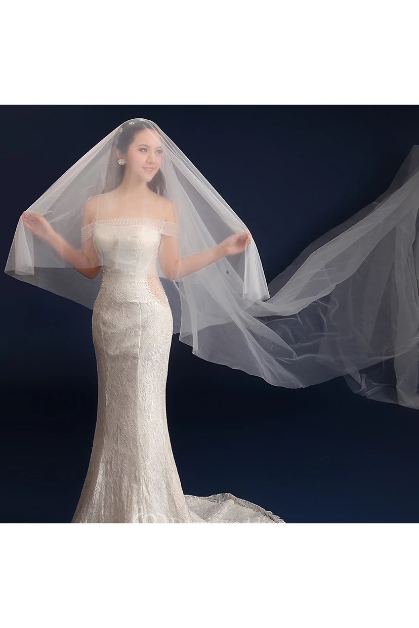 3 Meters Veil Super Long Tail Tulle Wedding Veil view 2
