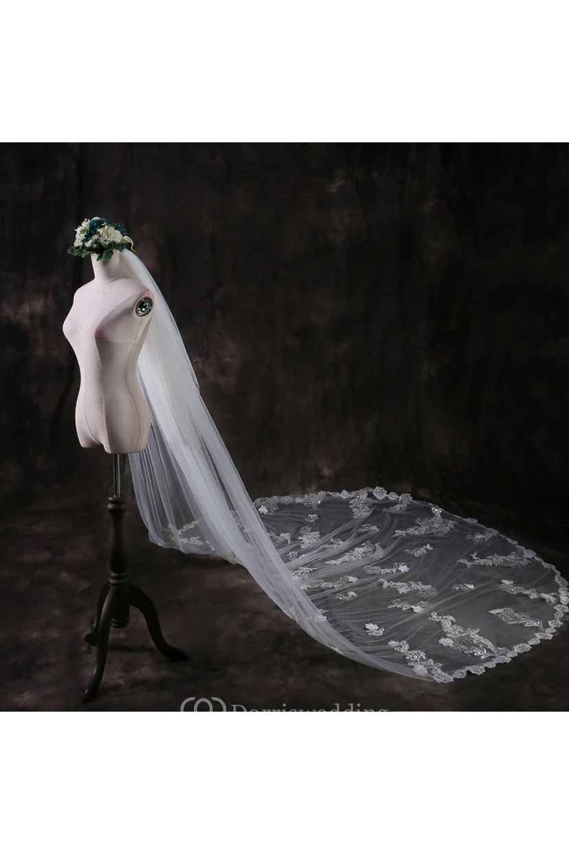 Ethereal Cathedral Tulle Wedding Veil with Lace Edge and Flower Appliques view 4