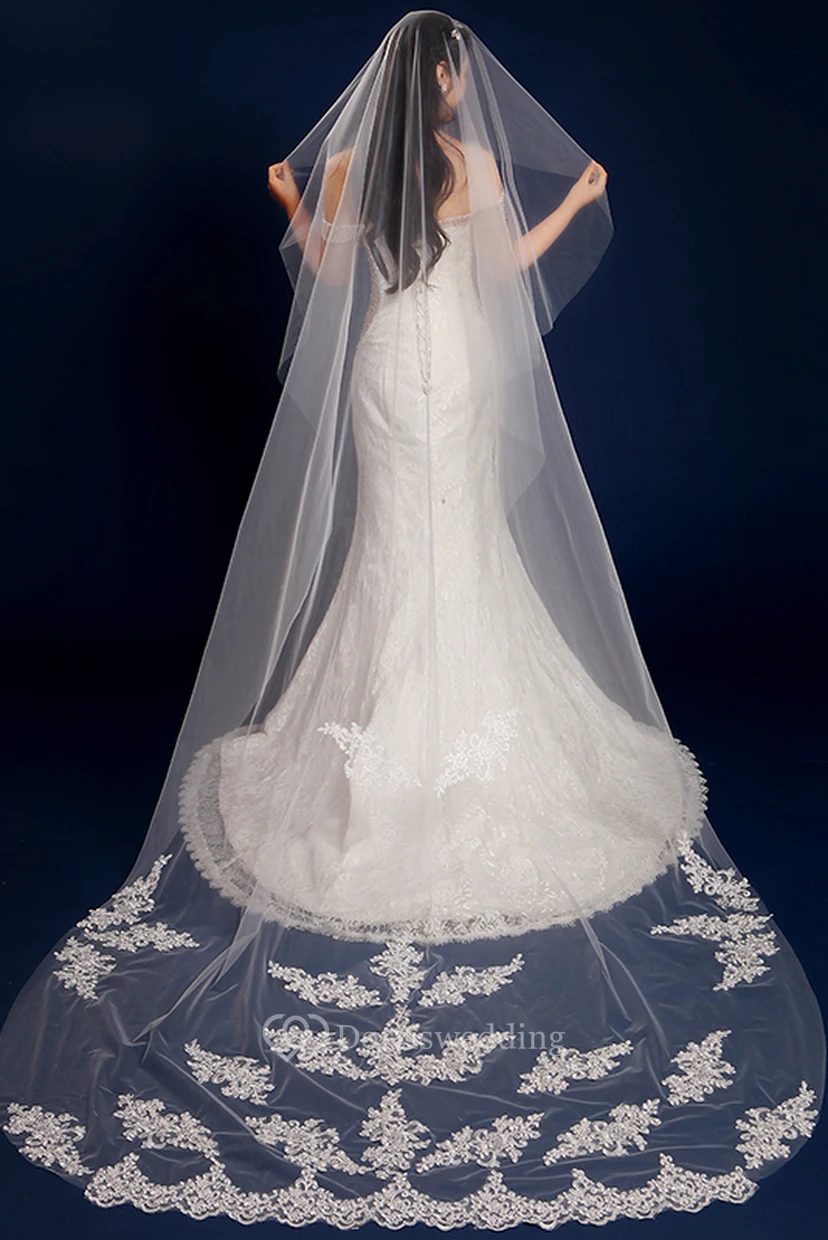Tulle Cathedral Wedding Veil with Lace Edge and Appliques view 2
