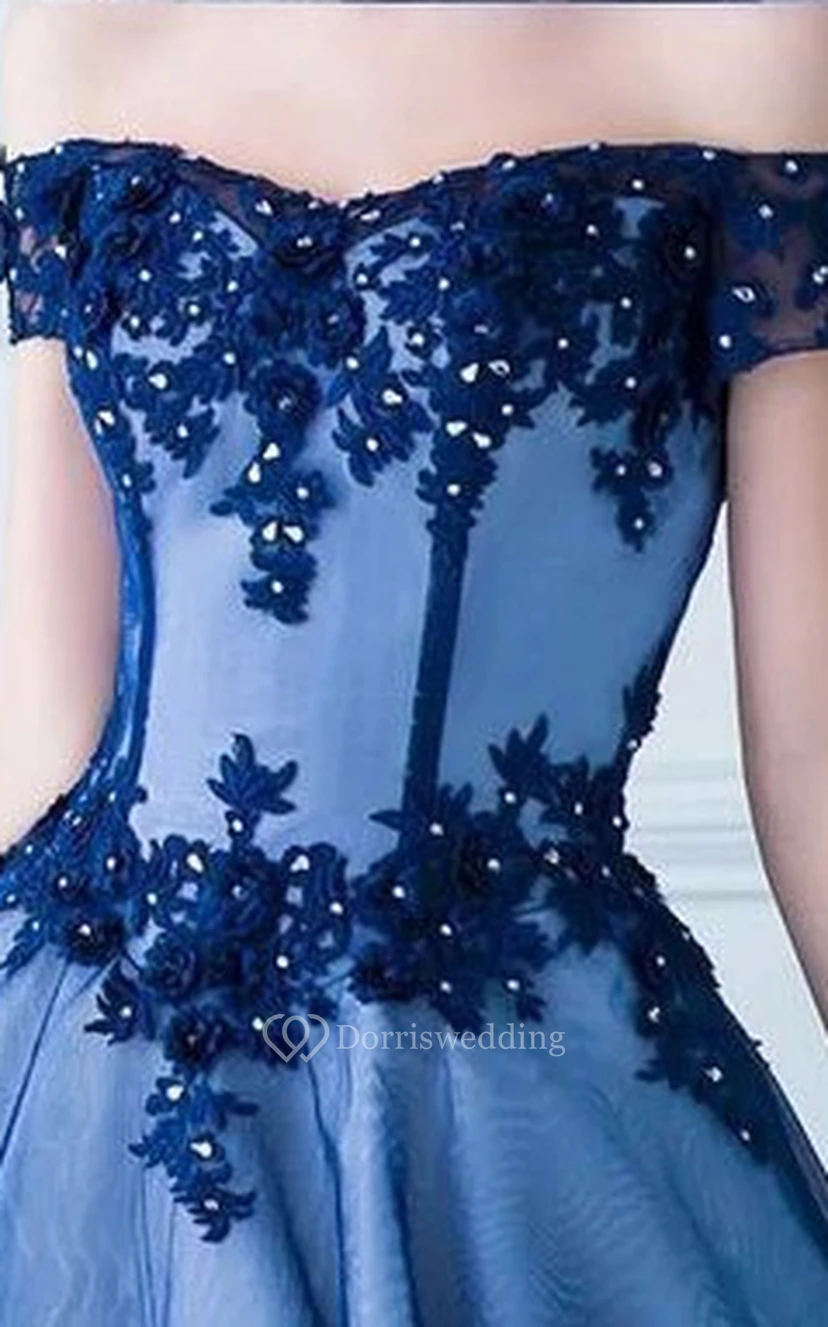 Ärmelloses, bodenlanges Ballkleid aus Tüll mit Applikationen view 2