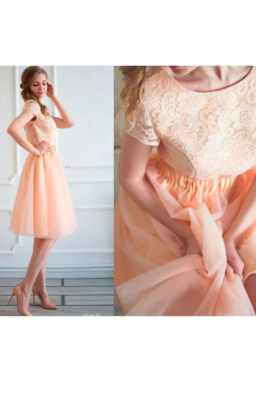 Bateau Cap Sleeve V Back A-line Tulle Short Dress With Lace Top view 4