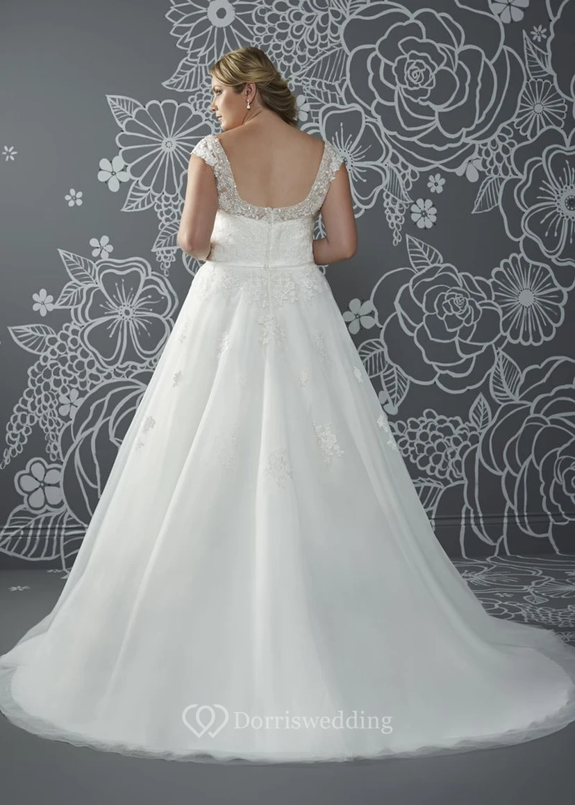 A-Line Floor-Length V-Neck Cap Tulle Court Train Low-V Back Beading Dress view 2
