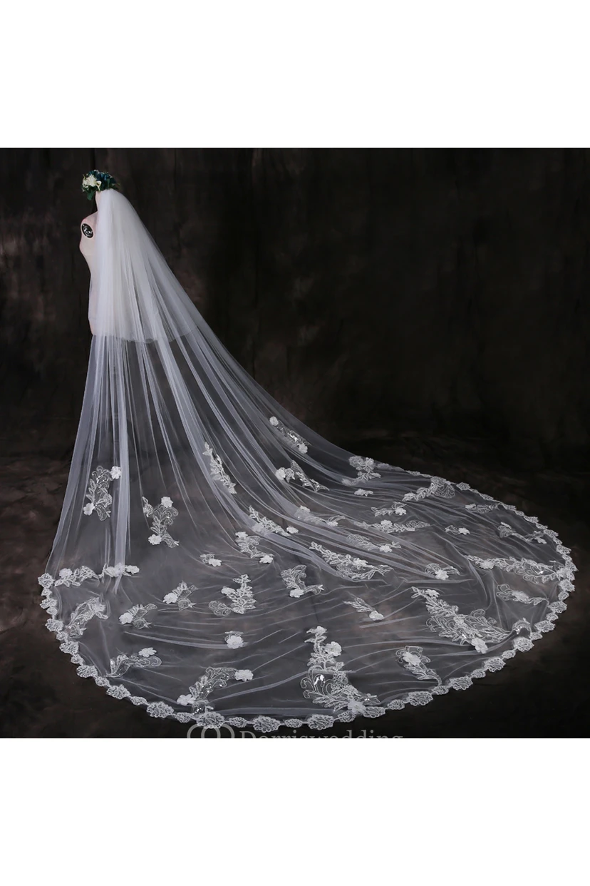 Ethereal Cathedral Tulle Wedding Veil with Lace Edge and Flower Appliques view 3