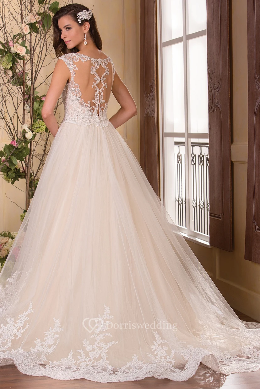 Cap-Sleeved Bateau-Neck A-Line Gown With Appliqued Bodice view 2