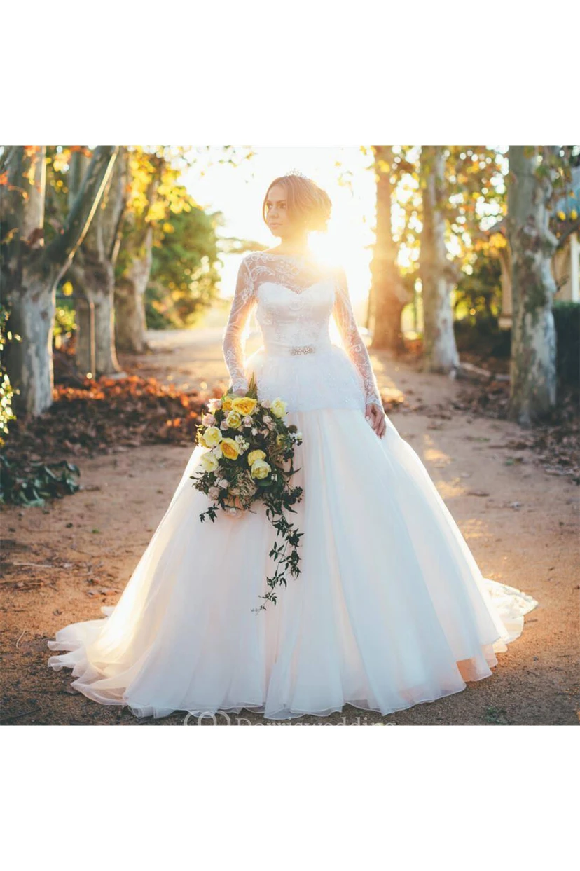 Gorgeous Long Sleeve Lace Wedding Dresses Princess Open Back view 2