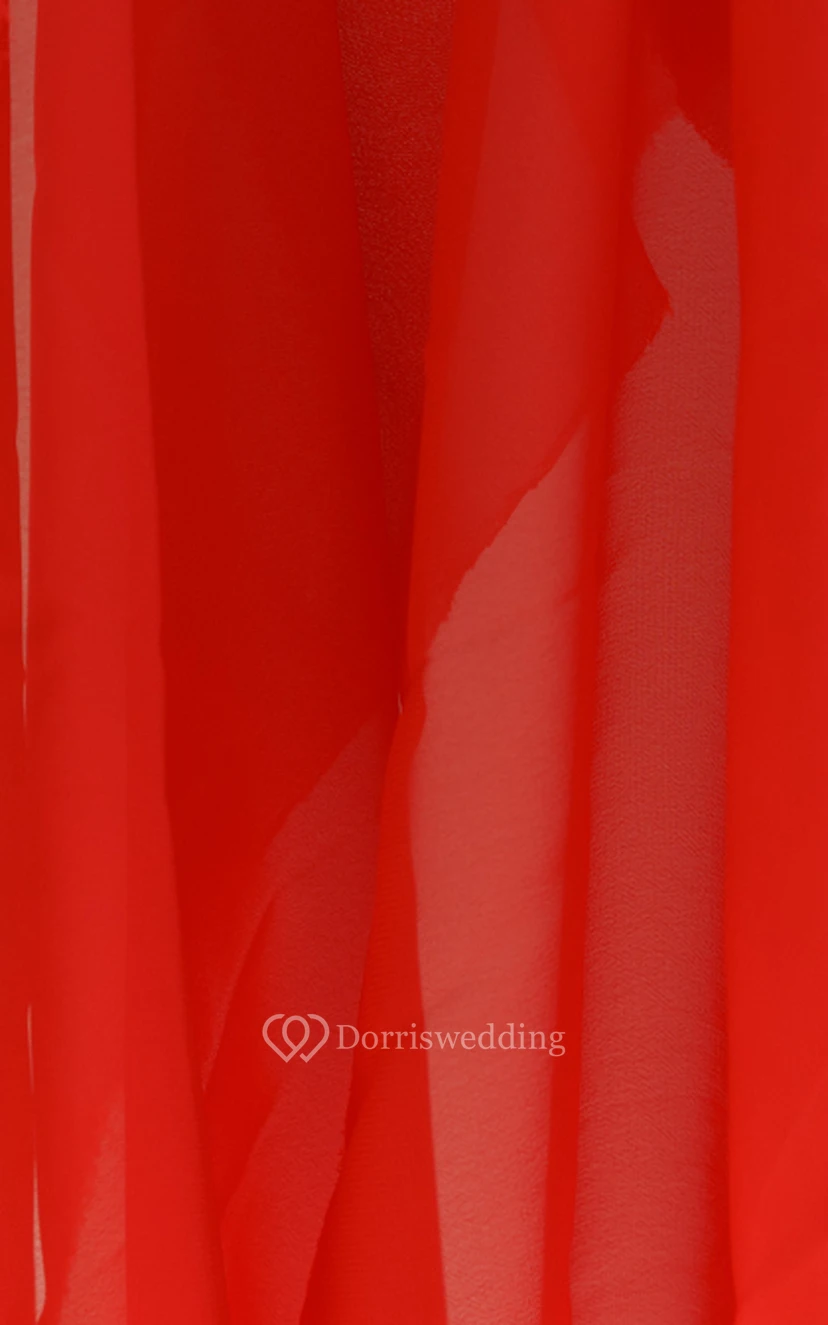 Chiffon Fabric Sample view 2
