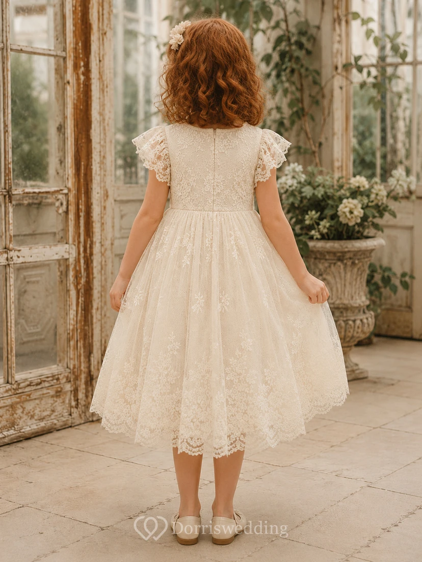Robe de demoiselle d'honneur en dentelle ivoire, coupe trapèze, manches courtes, col rond, longueur midi view 2