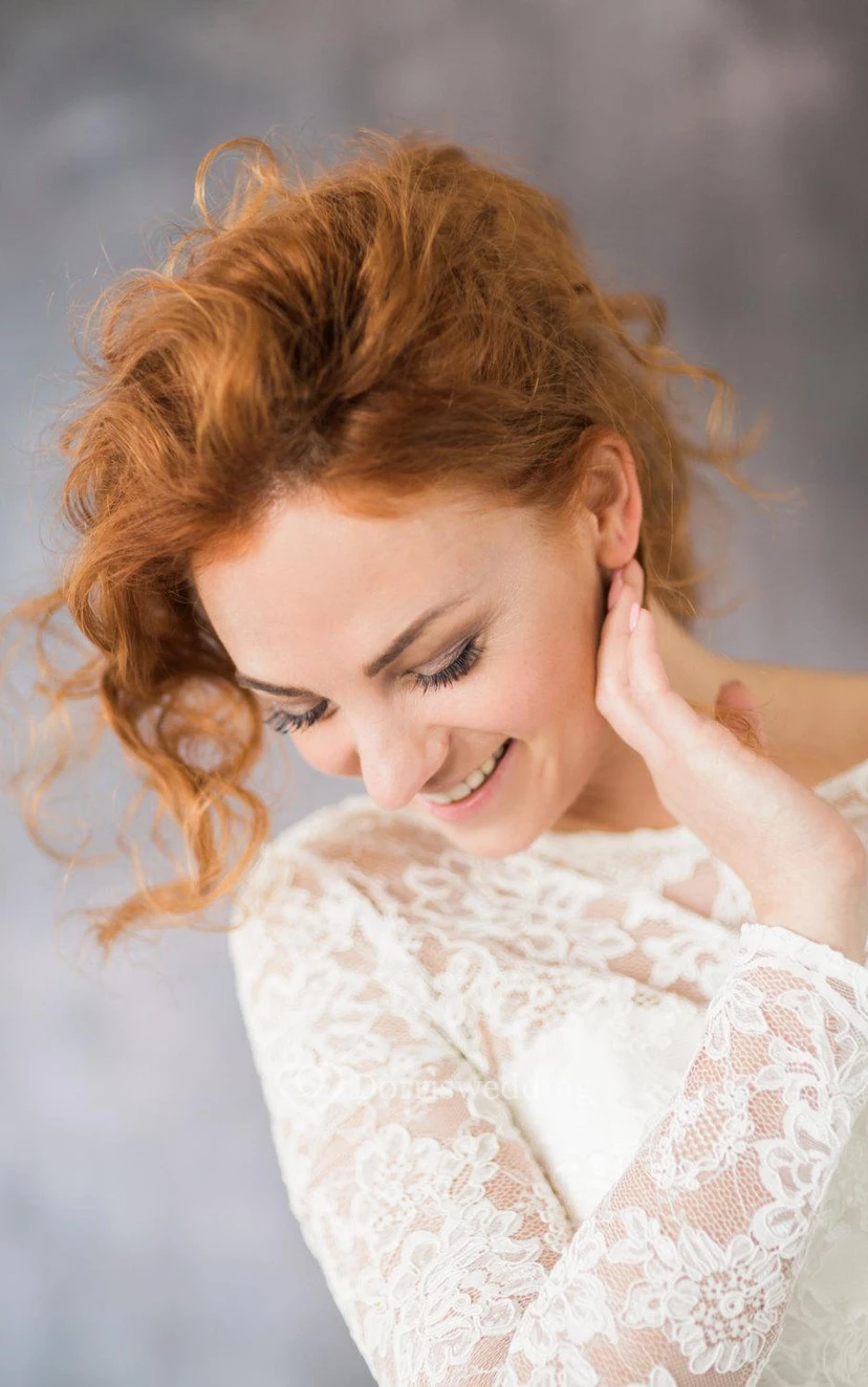 Long Sleeve Lace and Organza A-Line Dress With Bateau Neckline view 3