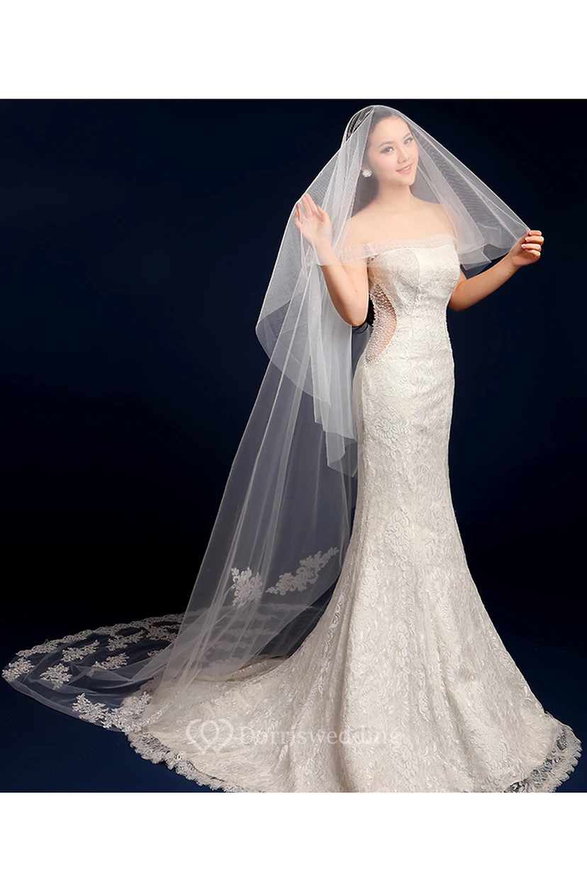 Tulle Cathedral Wedding Veil with Lace Edge and Appliques view 3