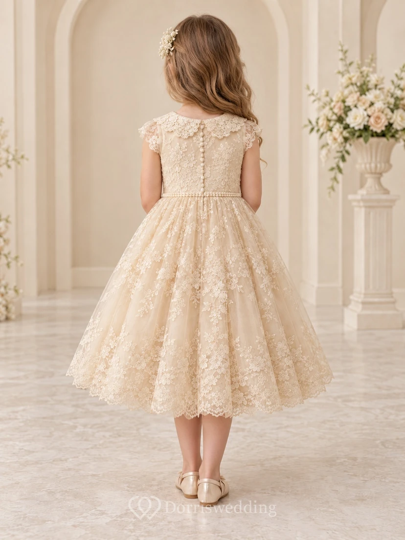 Tea-length Vintage Champagne Floral A-line Lace Cap-sleeve Collared Flower Girl Dress view 2