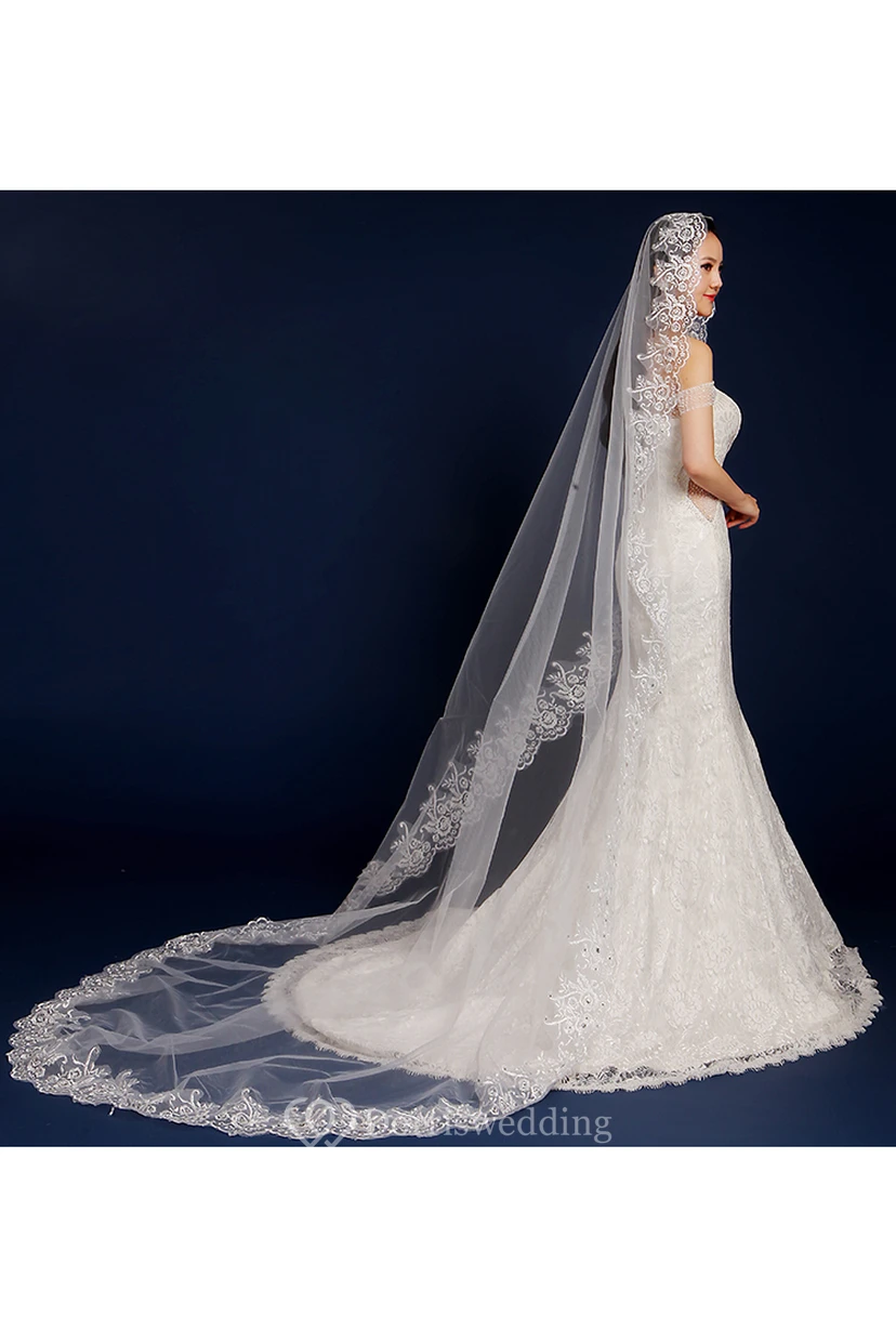 Beautiful Long Tulle Chapel Wedding Veil with Lace Edge