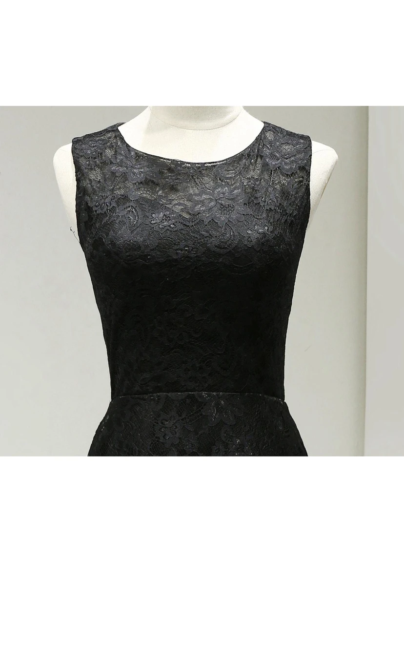 Scoop Neckline Sleeveless Sheath Lace Knee Length Dress view 4