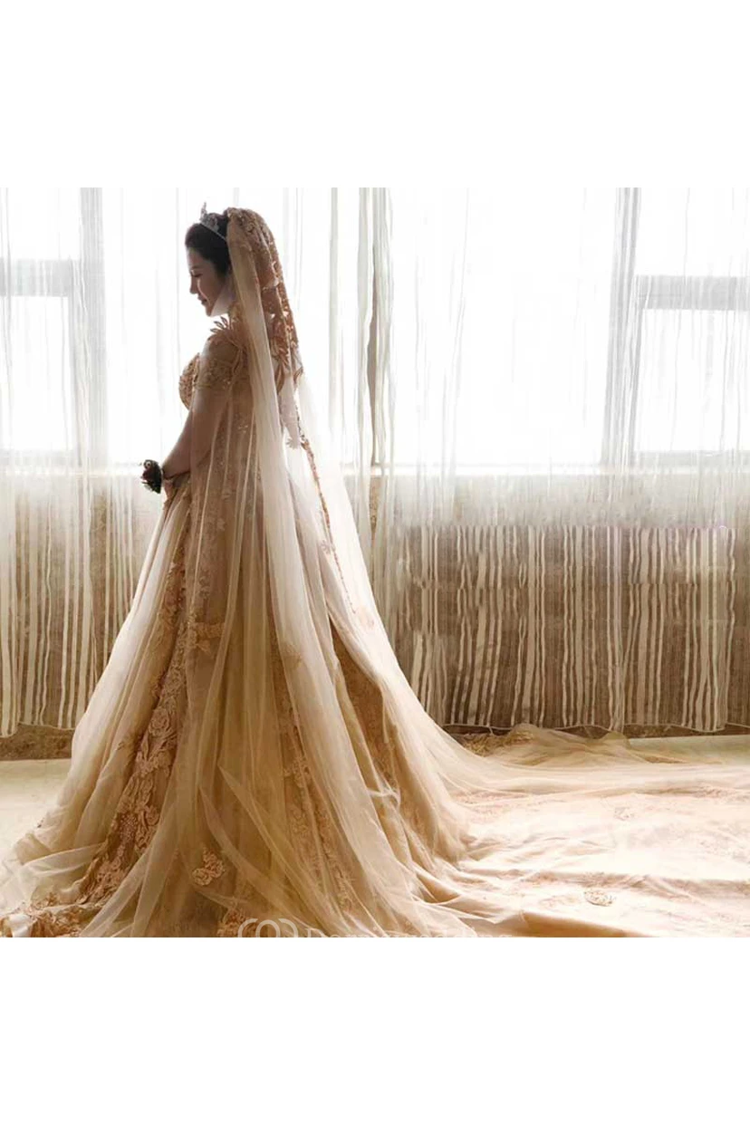 Champagne Ethereal Puffy Long Wedding Veil view 3