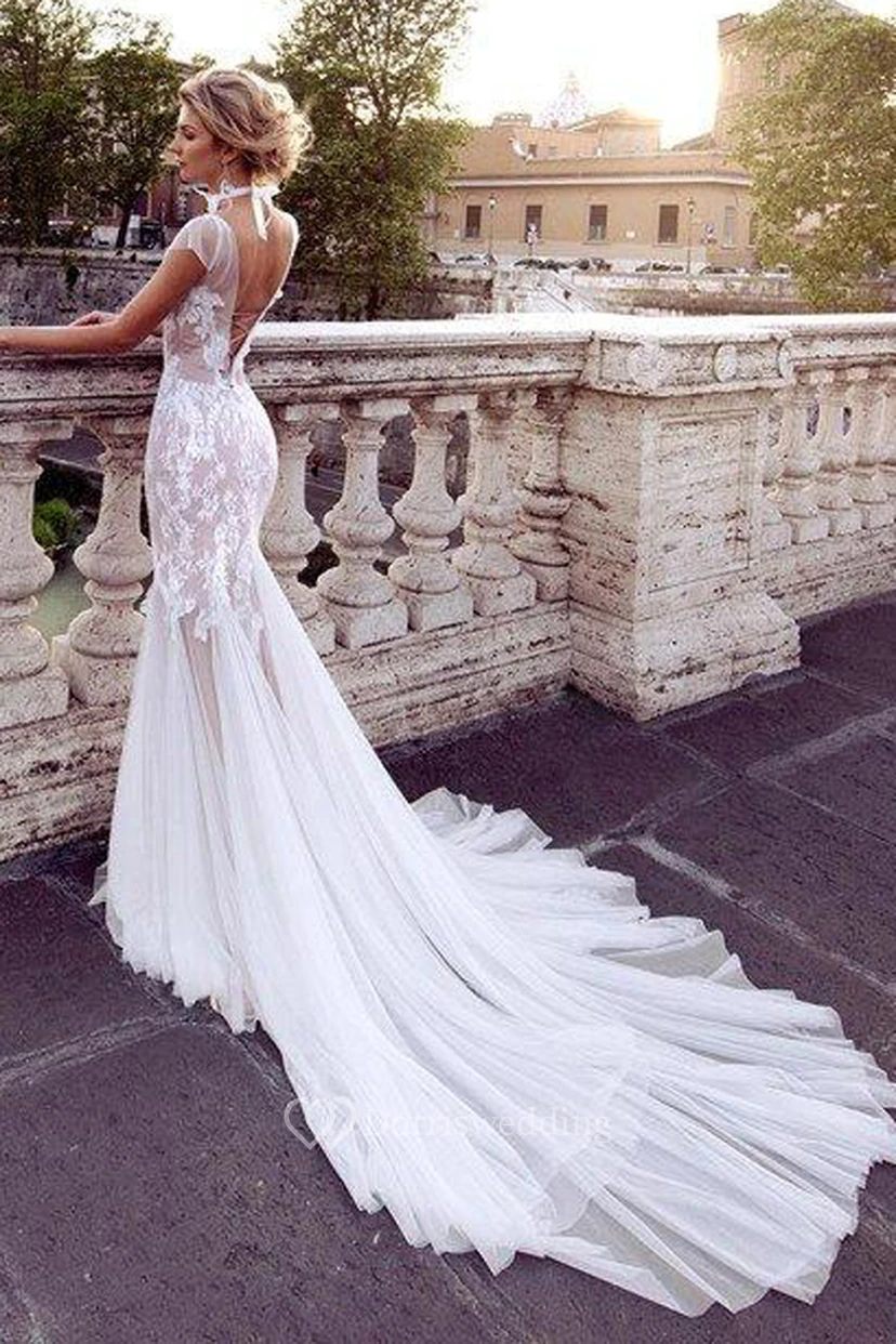 Gossamery Cap-Sleeve Illusion Tulle Vintage Wedding Dress With Lace And Court Train view 5