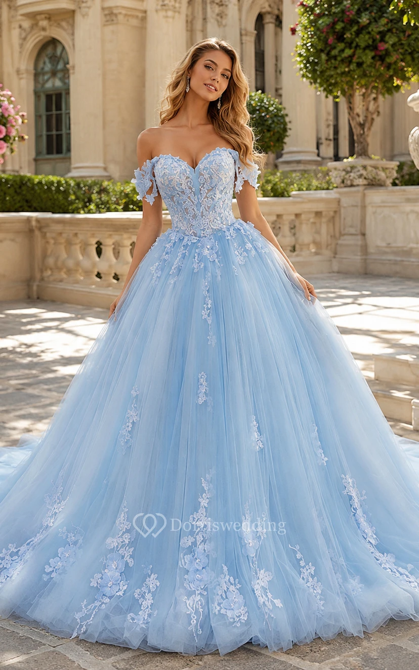 Robe de bal bustier en tulle coupe A ornée d'appliqués, robe de bal exquise